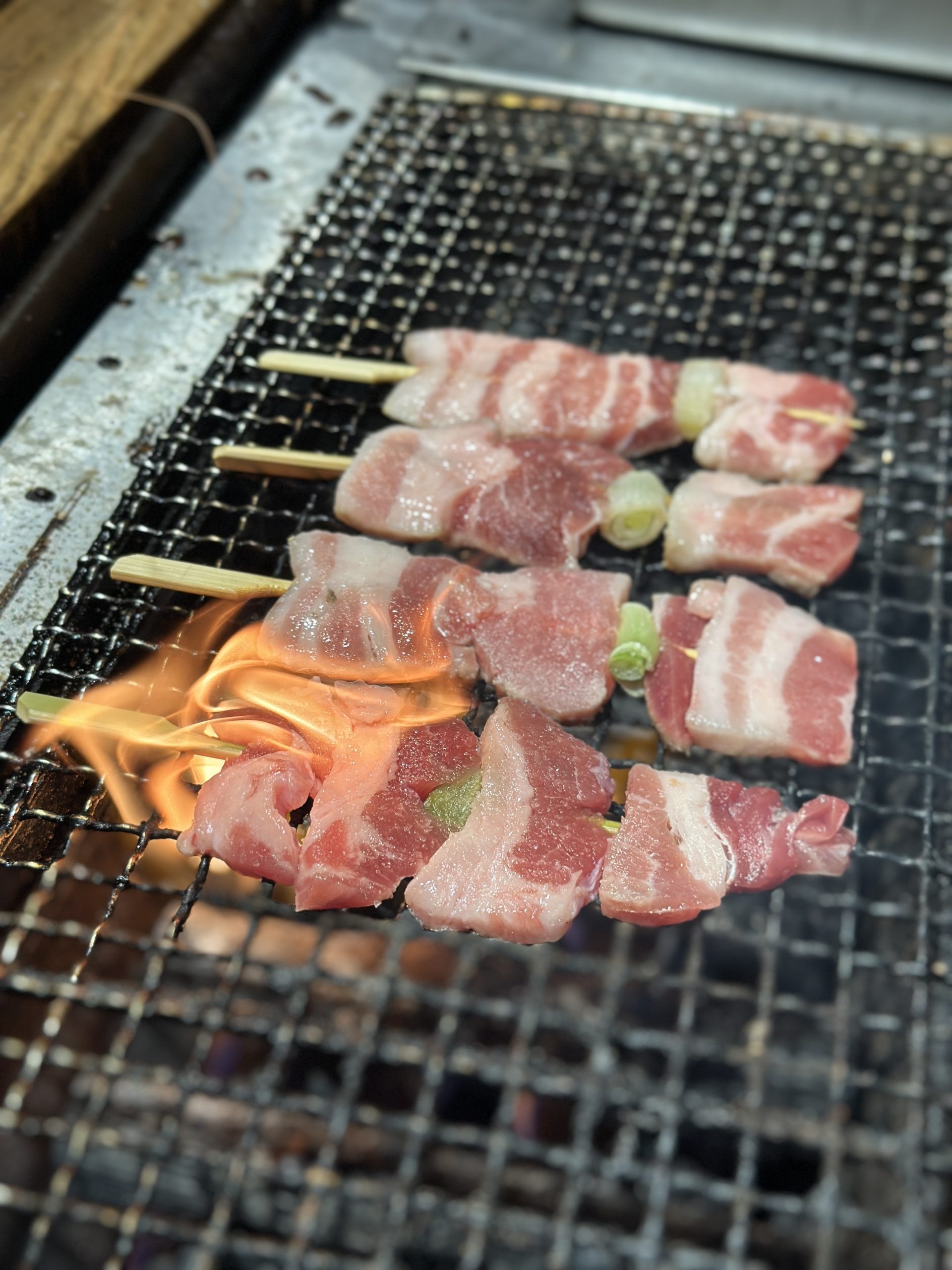 Robata Charcoal Grill