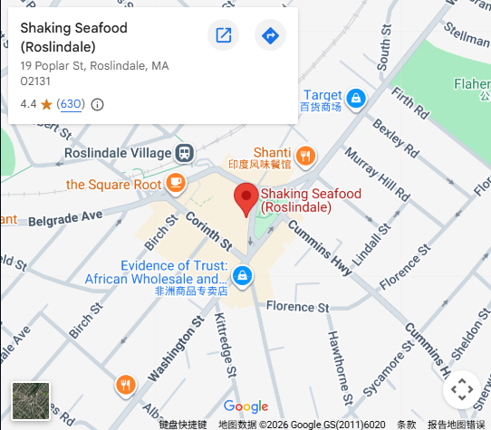 Location, 19 Poplar St, Roslindale, MA 0213119 Poplar St, Roslindale, MA 02131