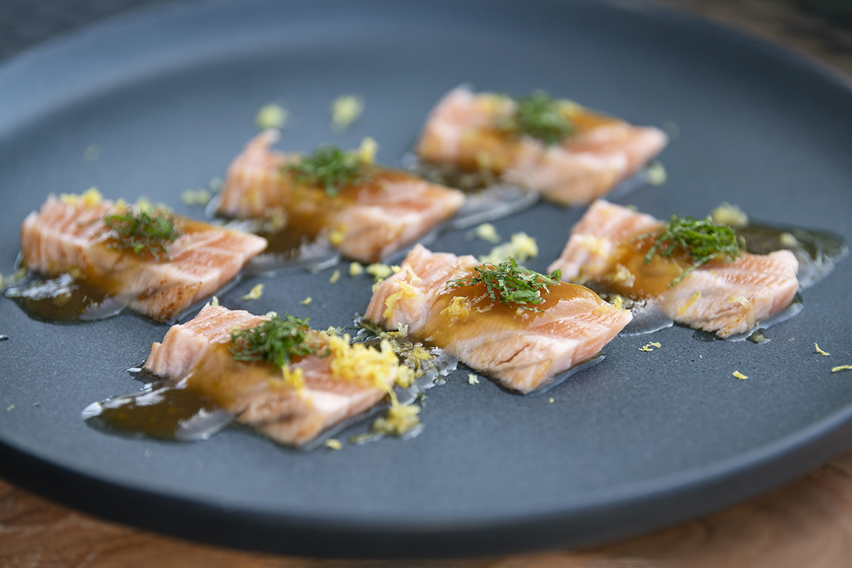 Slices of salmon sashimi on a dark plate, topped with sauce and herbs at Shiki Sushi，a Japanese Restaurant in Santa Rosa