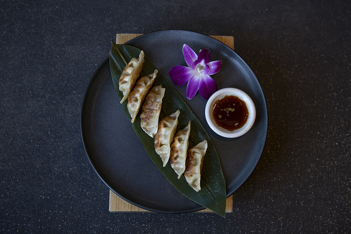 Fried dumplings (gyoza) with dipping sauce on a dark plate at Shiki Sushi，a Japanese Restaurant in Santa Rosa