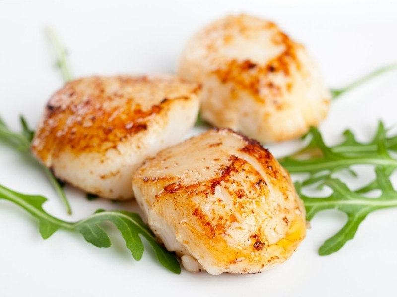 Pan-seared scallops with arugula at Shogun, a Japanese Steakhouse in Lancaster