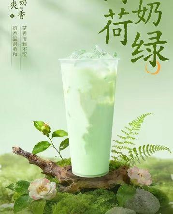 Poster of iced mint milk green tea in transparent cup, placed on branch over moss, camellia flowers and fern. Chinese text describes tea and milk aroma.