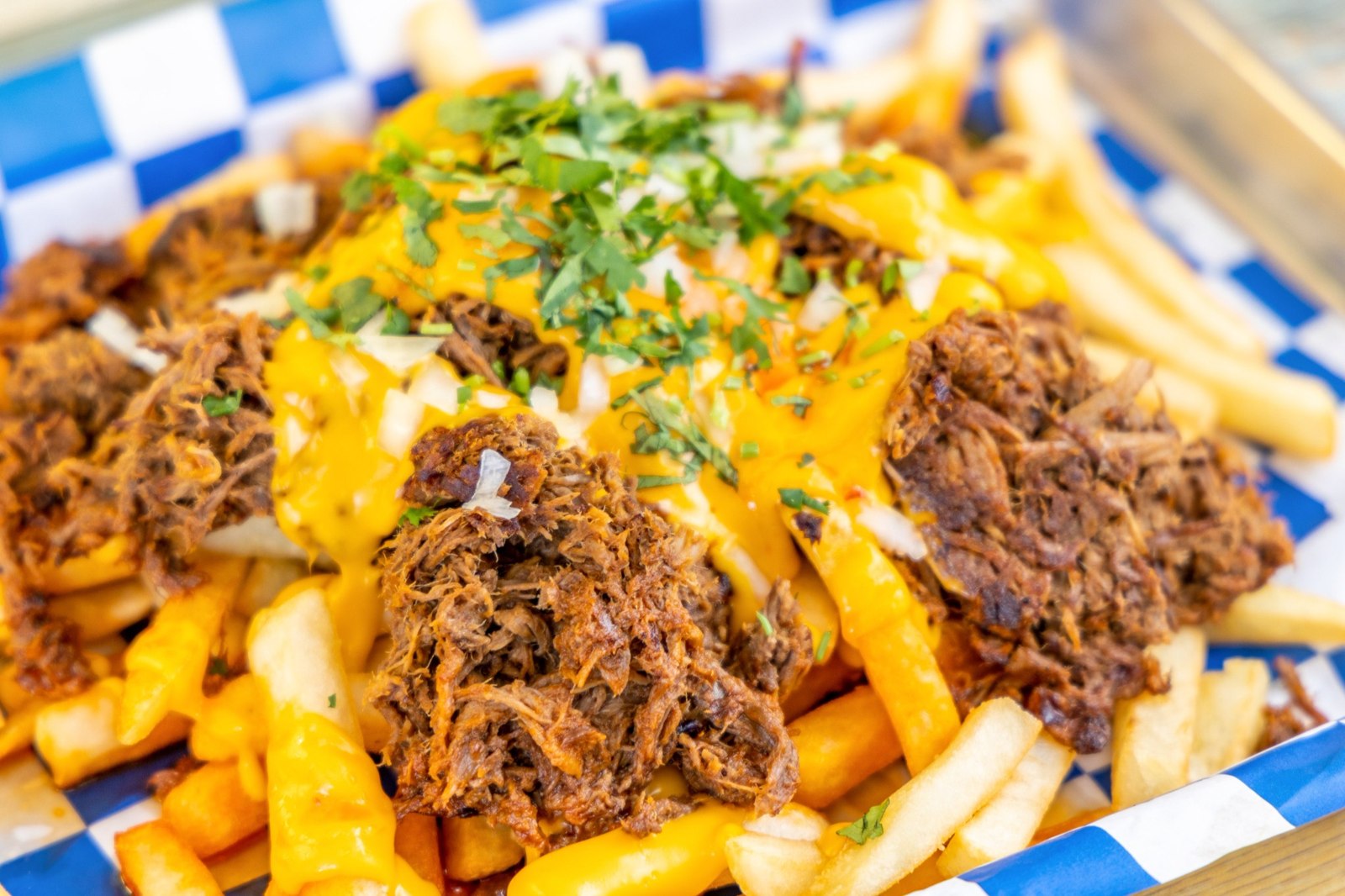 Loaded fries topped with shredded birria beef, melted cheese, onions and fresh cilantro Loaded fries topped with shredded birria beef, melted cheese, onions and fresh cilantro