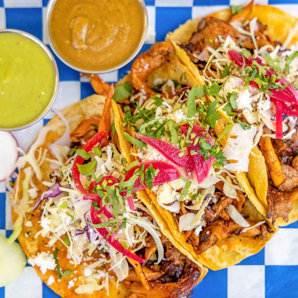 Tacos topped with shredded meat, cabbage, pickled onions, cheese and cilantro Tacos topped with shredded meat, cabbage, pickled onions, cheese and cilantro