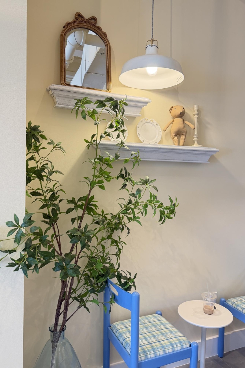 Fresh green plant beside blue checkered seat at Tea.Lab, a Bubble Tea Store in FL