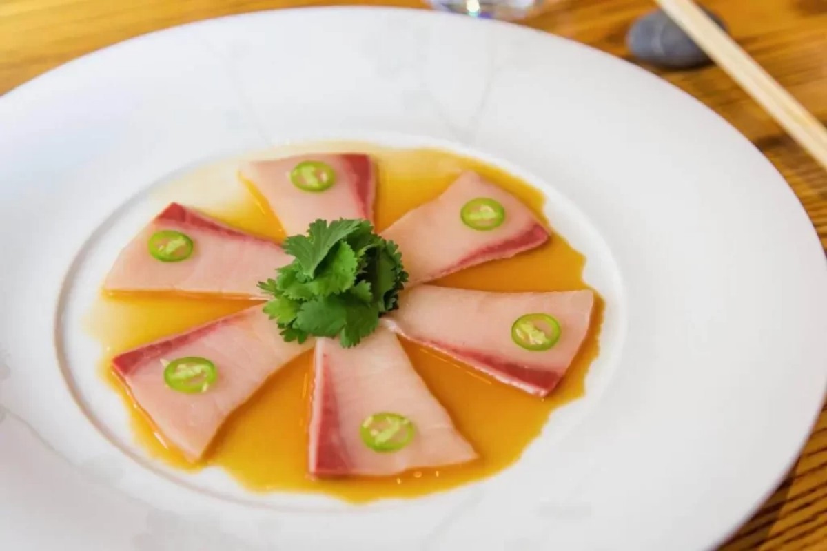 Hamachi sashimi with spicy citrus sauce plated neatly at Tony's Sushi & Steakhouse, a Japanese Restaurant in East Moriches