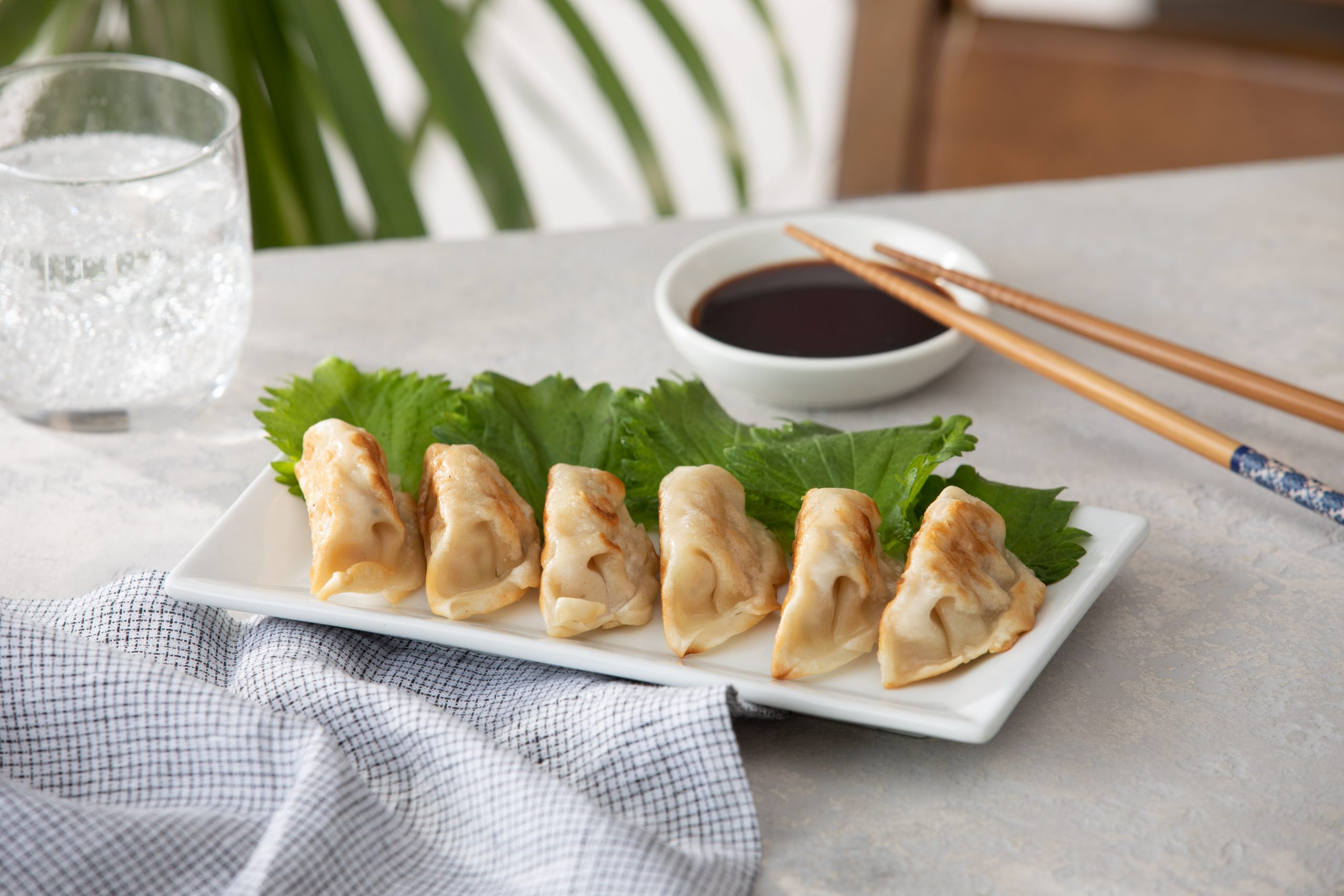 dumpling at Tori Japan, a Japanese Restaurant in MA