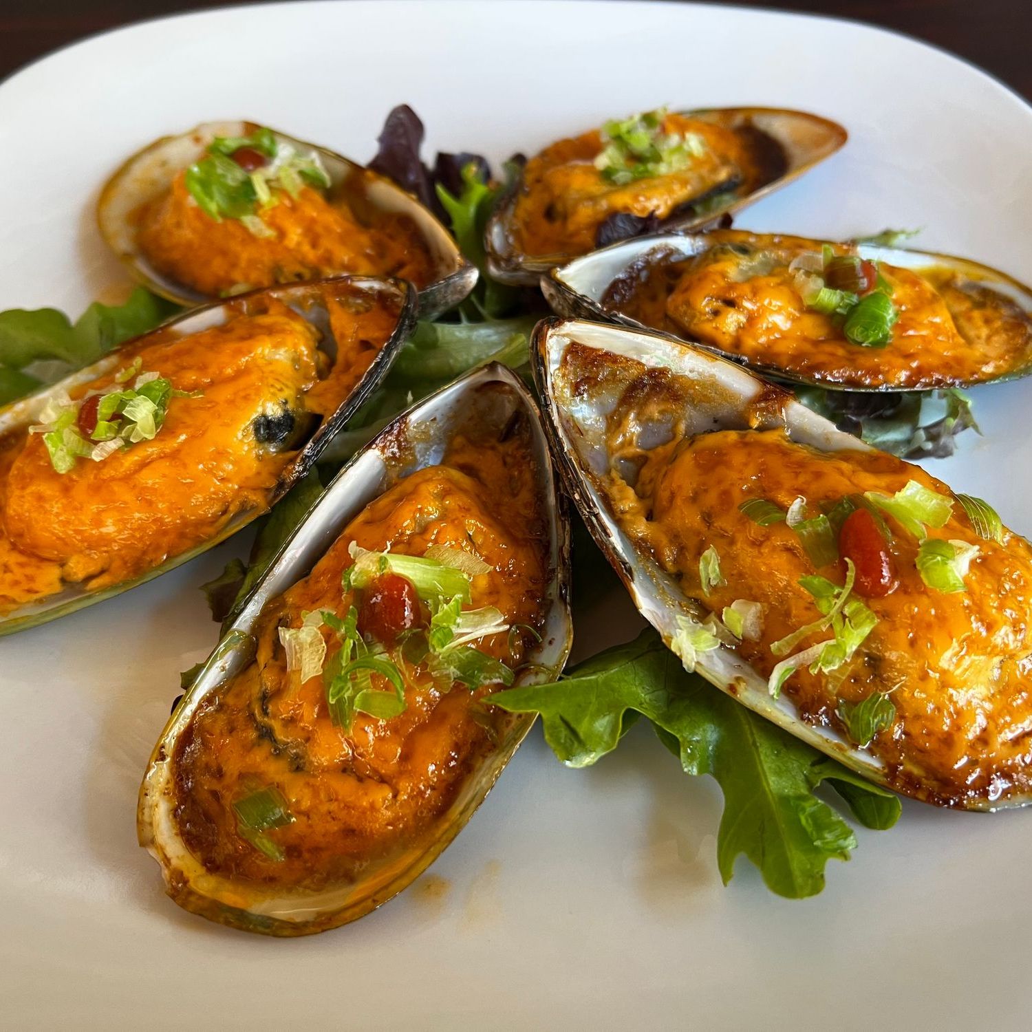 Six baked mussels coated with creamy spicy sauce and chopped green onions at Umami Sushi & Chinese Cuisine, an Asian Fusion Restaurant in Minneapolis