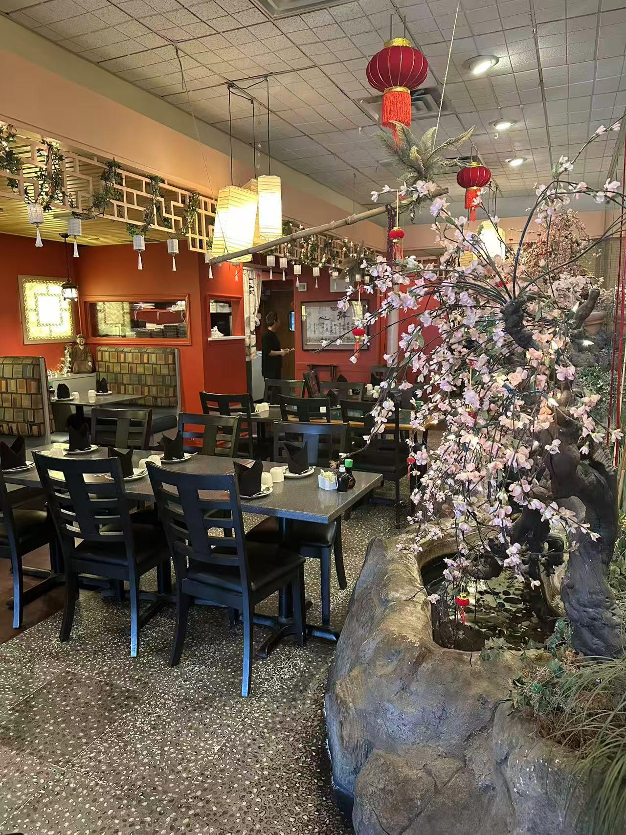 Restaurant interior with cherry blossom decor at Yantze, a Asian Fusion Restaurant in Lansdale