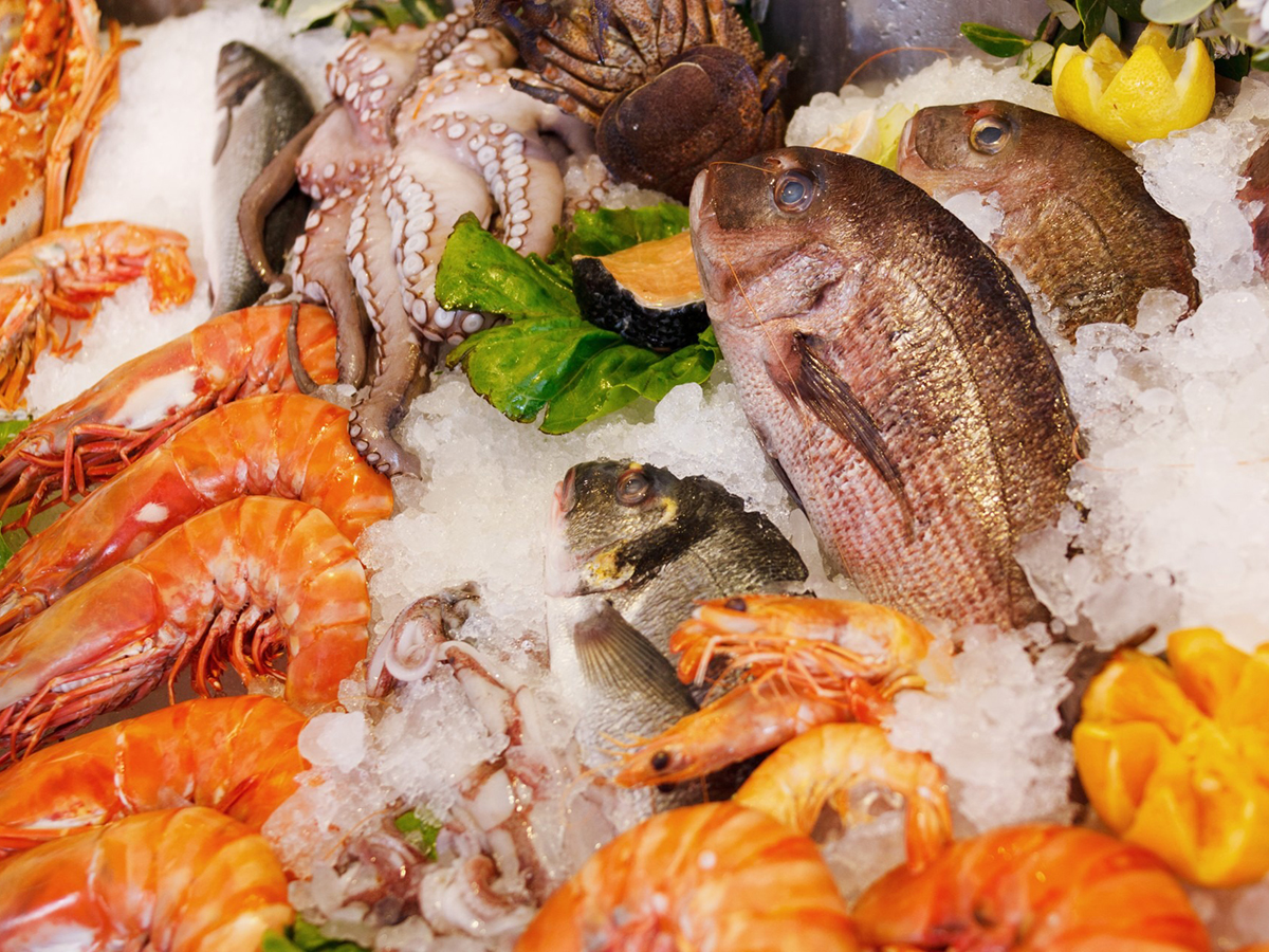Assorted Seafood Platter - Fresh fish, shrimp, octopus on ice at Yummy Crab, a Seafood Restaurant in Houston