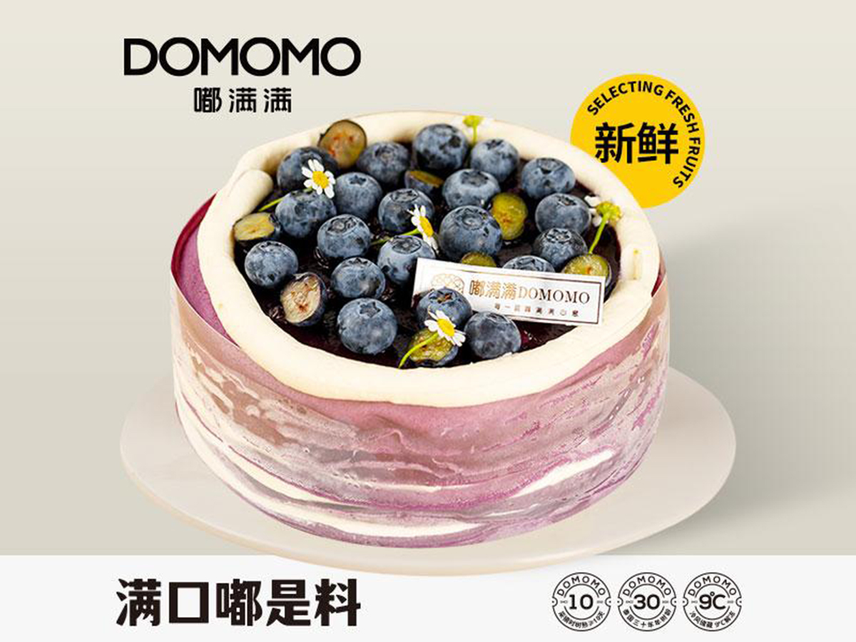 Blueberry Mille Crepes Cake at Zaza Tea，a Bubble Tea Store in Flushing